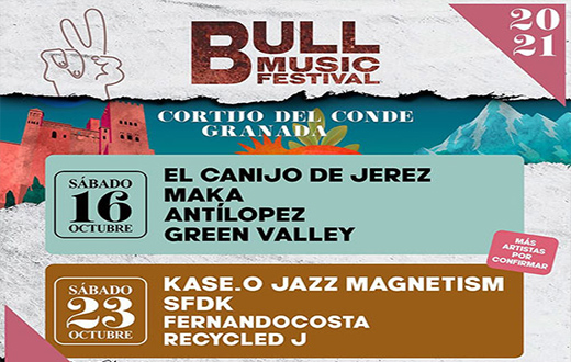 Imagen descriptiva del evento Bull Music Festival 2021